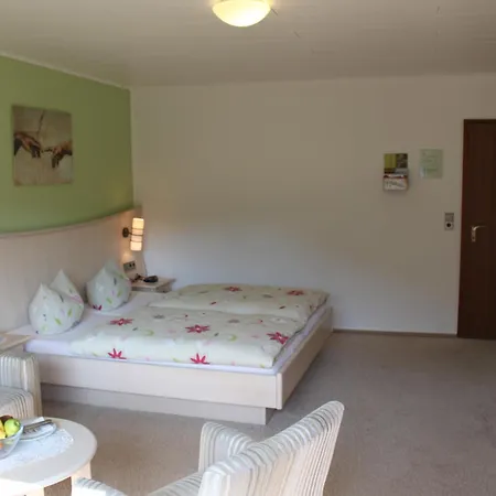 Landgasthof Sauer بيت ضيافة فيلنغن