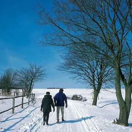 Гостевой дом Landgasthof Sauer Виллинген