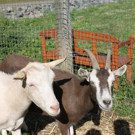 Landgasthof Sauer بيت ضيافة 3*