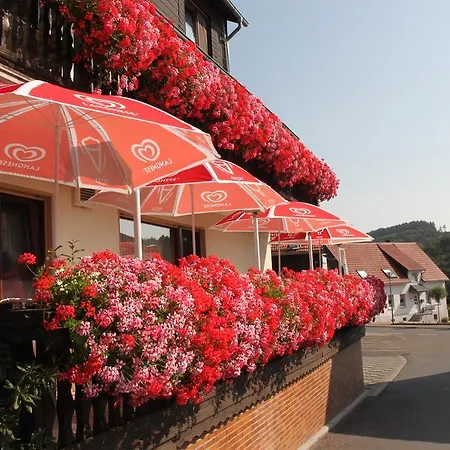 Гостевой дом Landgasthof Sauer