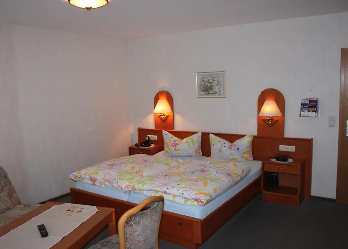 Landgasthof Sauer Gasthof Willingen (Upland)