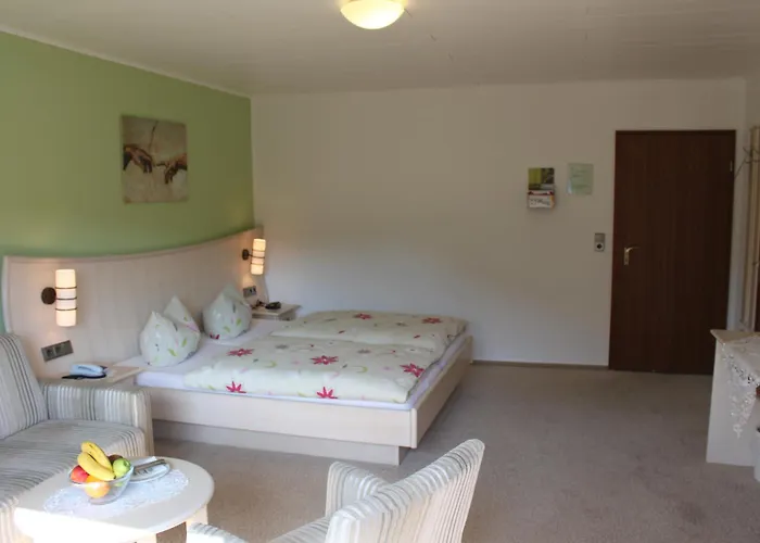 Landgasthof Sauer Vendégház Willingen