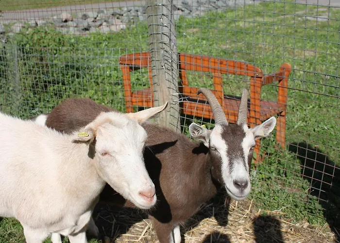 Landgasthof Sauer Vendégház 3*